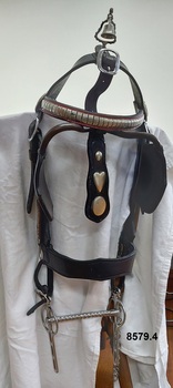 Leather show bridle with blinkers and bit and decorative ornamentation on head band and dropper