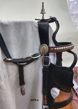 Ornaments on bridle
