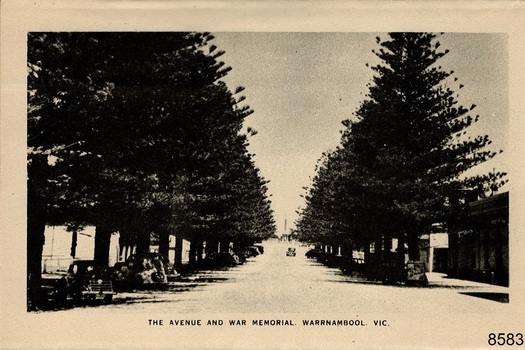 Liebig Street, towards the Memorial on Merri Street. Pine trees are on both sides of the street