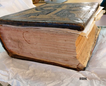 View of Bible showing the lower edge and fore edge of pages