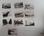 A set of ten black and white photographs of attractions in Warrnambool 