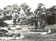 A set of ten black and white photographs of attractions in Warrnambool