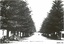 A set of ten black and white photographs of attractions in Warrnambool