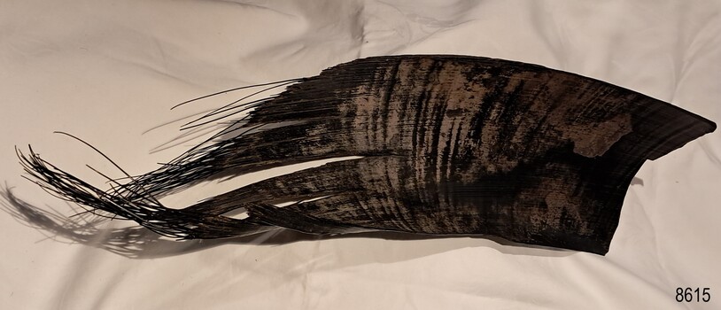 Black hard shiny surface with brown highlights and fringed edge on one end