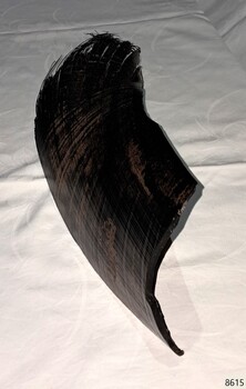 The baleen is thick and curves inwards along its length