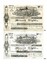 Two printed permits, one above the other, obverse sides
