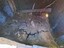Embedded in the bitumen are items of litter