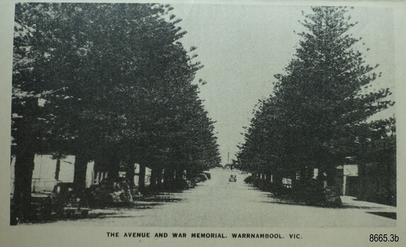 An avenue of tall trees and some parked cars, street that leads to a memorial.