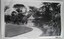 Gazebo flanked by tall trees and a pathway meandering around it