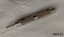 Cigar piercer used to pierce the mouth end of a cigar so it can be smoked.