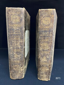 View of the spines of the two Welsh Theological Dictionaries - volume one is on the left and volume two on the right.