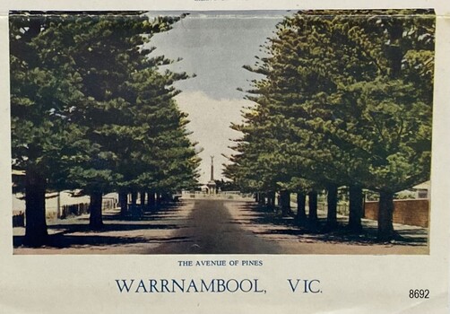 Ninth picture - The Avenue of Pines