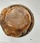 Circular iron frame (heavily encrusted) surrounding a circular inner frame with thick domed glass.