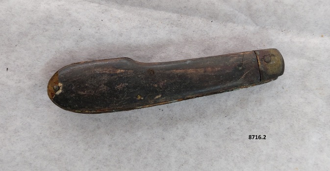 Brown wooden handle of pocket knife with small chip missing at base and metal cap in good condition.