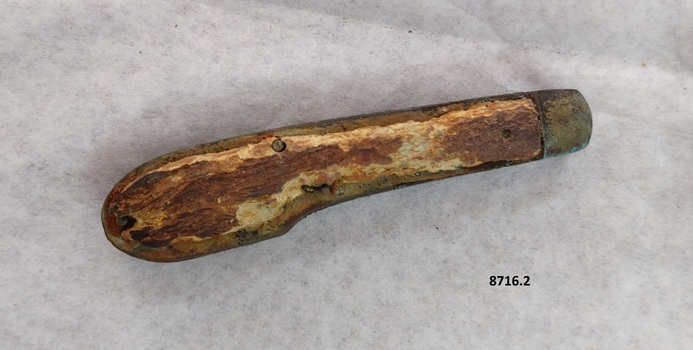 The outer covering of the wood of the pocket knife handle has been worn away, exposing a cream surface.