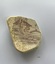 Fragment of china with partial red design showing house and bridge