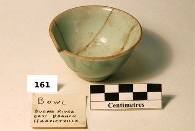 Cup