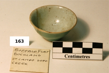 Cup