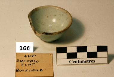Cup
