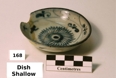 Dish