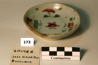 Saucer