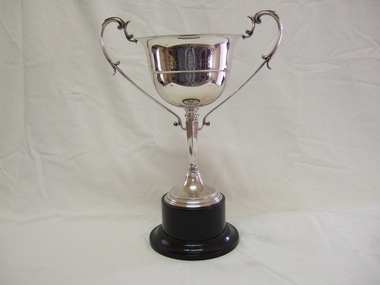 Cup, Trophy