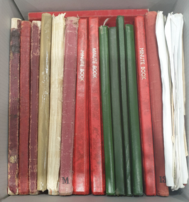 Eureka Stockade Memorial Park Committee Minute Book