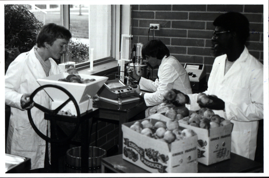 Three people making apple cider