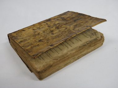 Photograph of a book covered in human skin