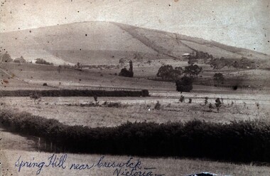 Photograph (Black & White), Spring Hill Near Creswick