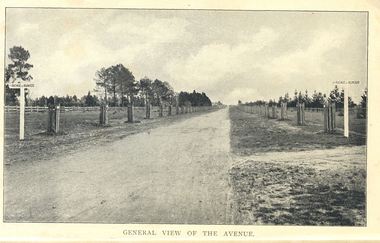 Book, Ballarat Litho & Printing Co, Lucas's Staff's Appreciation of Brave Men, June 1919, 06/1919