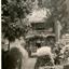 Gardens at the Ballarat School of Mines