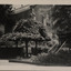 Tree in a garden at the Ballarat School of Mines