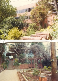 Photograph (colour), Ballarat School of Mines Botanical Gardens, c1979