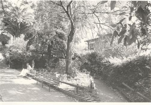 A woman in a garden