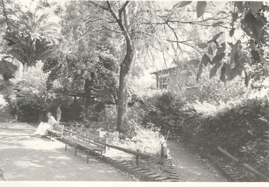 A woman in a garden
