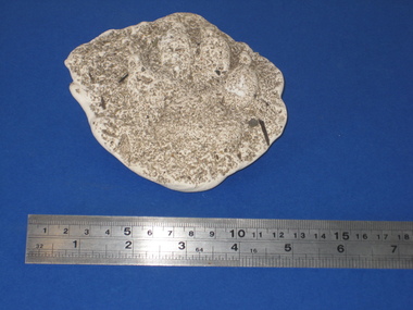 Plaster cast, David Pepper-Edwards, Plaster Cast of a Tropical Dingo Footprint, 04/2004