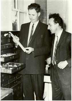 Two men looking at a geological collection