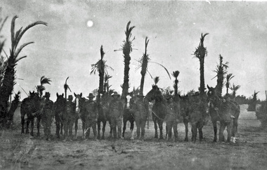 Postcard - photographic, The Ascot (Victoria) Soldiers