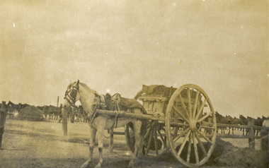 Postcard - Sepia, A Horse and Cart Carry Manure at Metras Camp, c1916
