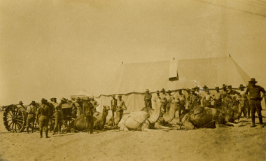 Postcard - Sepia, Team of Eight Camel and Howistzer, c1916