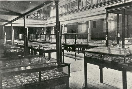 A museum with exhibits in showcases