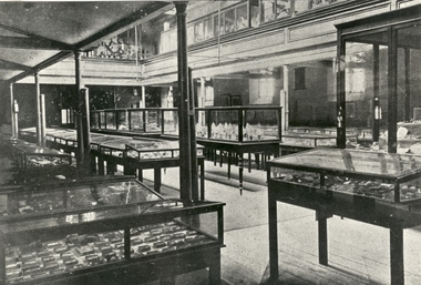 A museum with exhibits in showcases