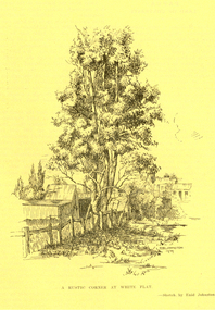 Work on paper - Artwork - sketch, A Rustic Corner at White Flat by Enid Johnston, 1939