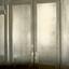 etched glass and timber doors