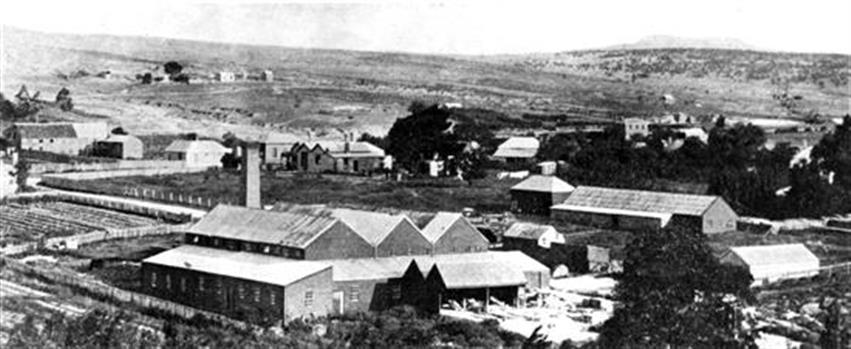 A settlement near the Yarrowee Creek.