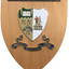 Shield