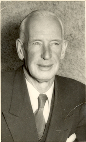 portrait of man