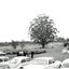 A seated audience with parked cars