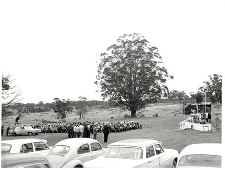 A seated audience with parked cars